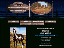 Tablet Screenshot of mbpainthorsebreeders.com